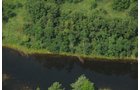 Property photo 35 - 1,025 Acres in 24 Tracts - Exellent Recreation Opportunity - Potential Building Sites - 11 Lakes & Ponds